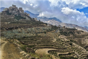 Yemen green coffee growing region.