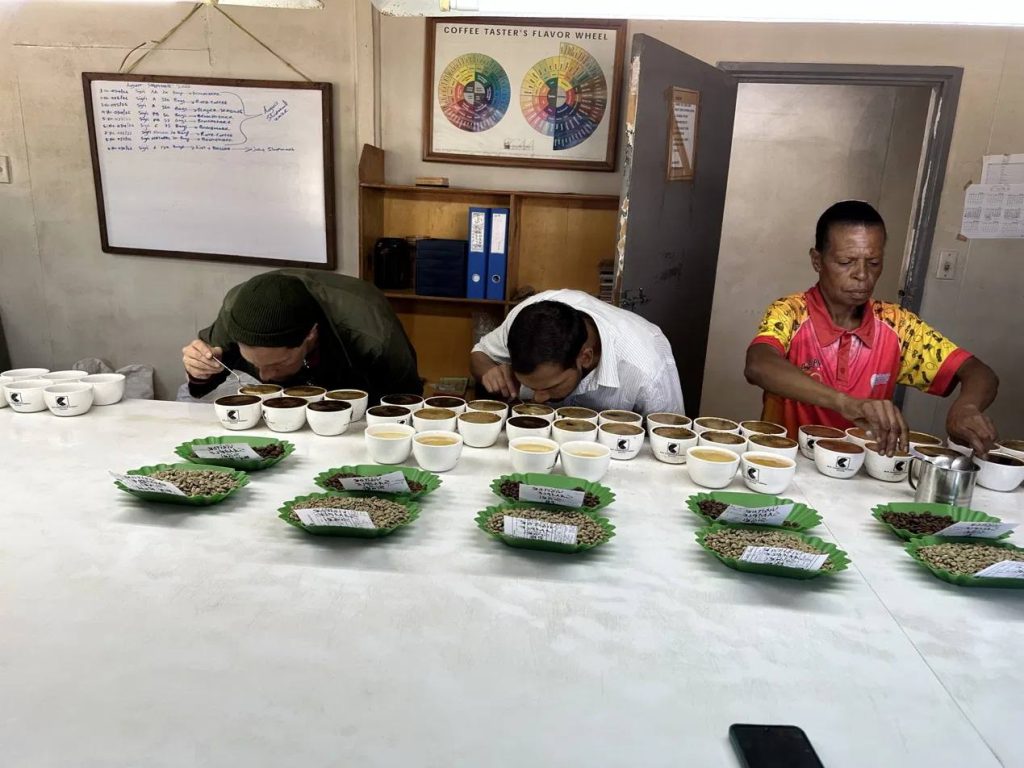 Cupping session with Eastern Highlands PNG coffee samples