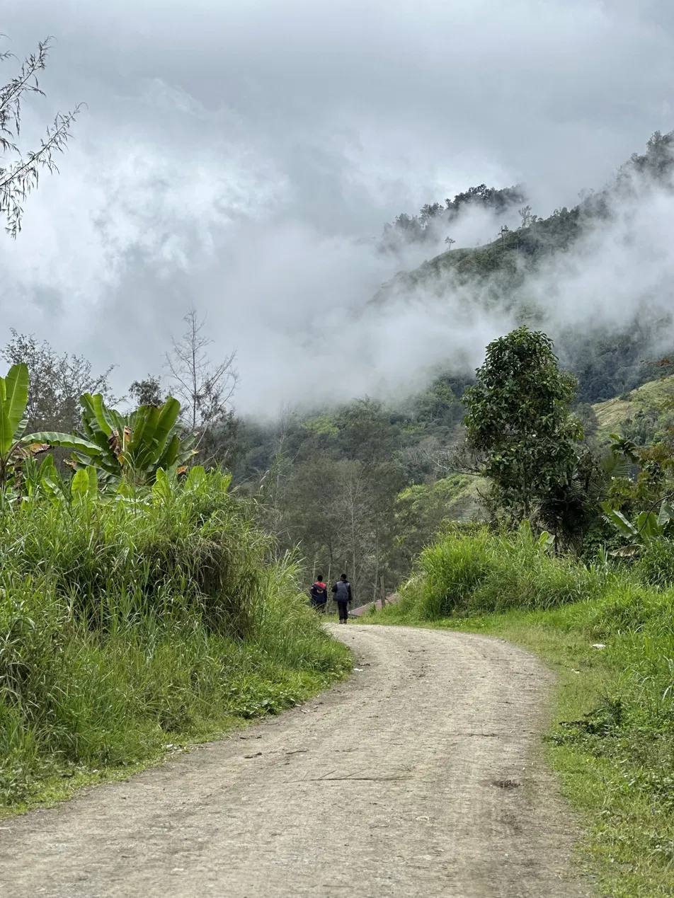 Misty road through the Papua New Guinea Highlands