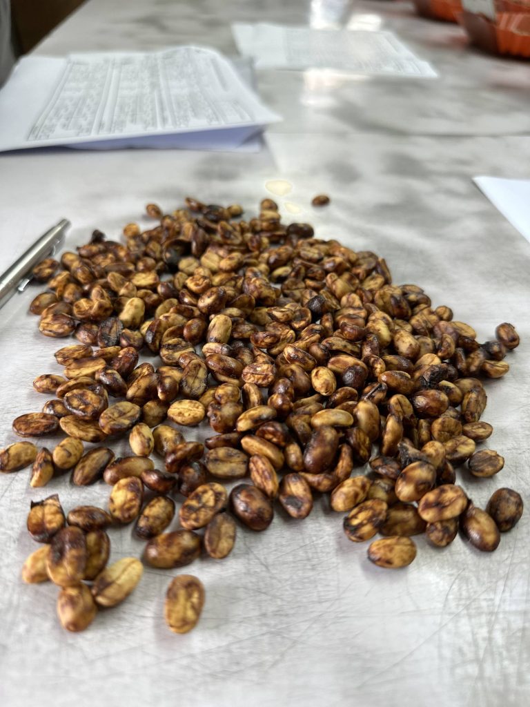 Sample-roasted coffee beans for quality evaluation