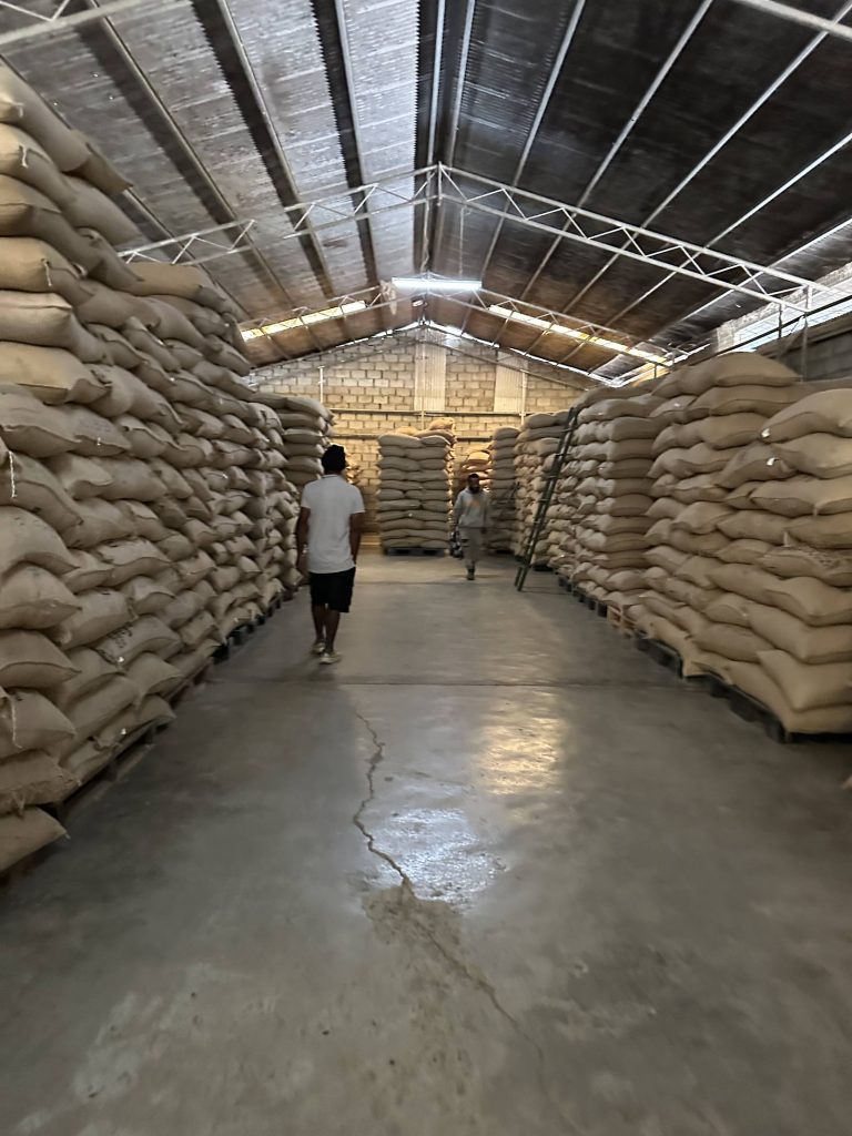 Rows of green coffee bags stored at the Theta Ridge warehouse